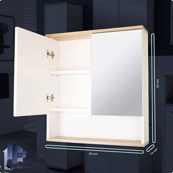 آینه سرویس بهداشتی BMJ101