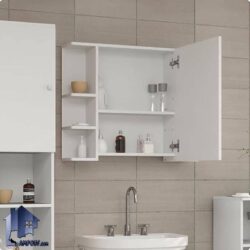 آینه سرویس بهداشتی BMJ102