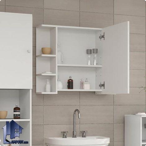 آینه سرویس بهداشتی BMJ102