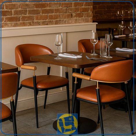 صندلی نهارخوری DSN126